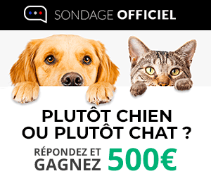 Plutôt chien ou plutôt chat ? Répondez à notre sondage et gagnez 500 euros !