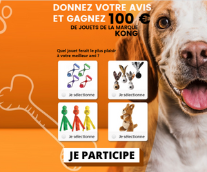 Jeu-concours gratuit : Gagnez 100€ de jouets Kong pour chien