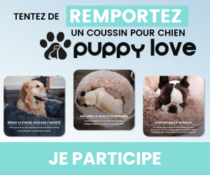 Jeu-concours gratuit : Gagnez un coussin pour chien Puppy Love