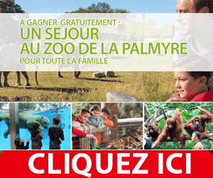 Jeu-concours : Gagnez un week-end en famille au Zoo de la Palmyre