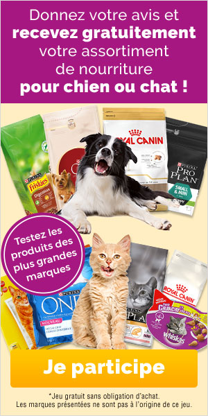 Jeu-concours gratuit : Gagnez de la nourriture pour chien et chat